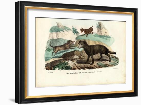 Dogs, 1863-79-Raimundo Petraroja-Framed Giclee Print