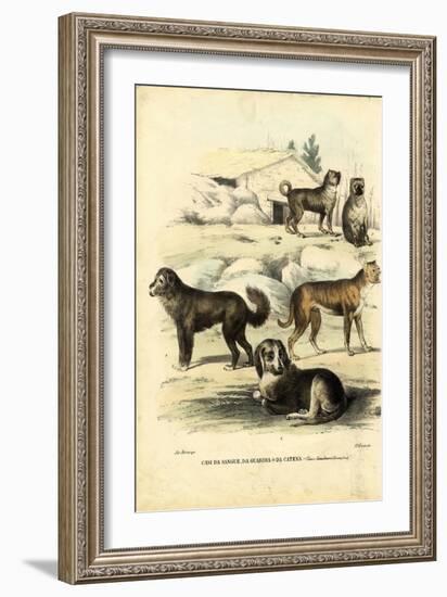 Dogs, 1863-79-Raimundo Petraroja-Framed Giclee Print