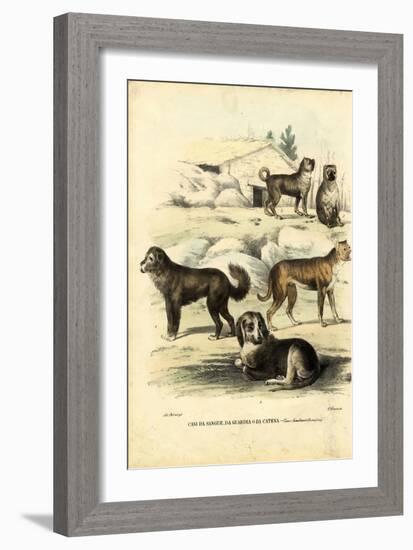 Dogs, 1863-79-Raimundo Petraroja-Framed Giclee Print