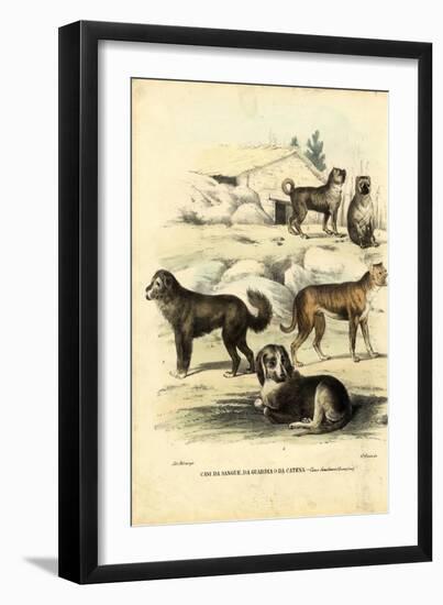 Dogs, 1863-79-Raimundo Petraroja-Framed Giclee Print