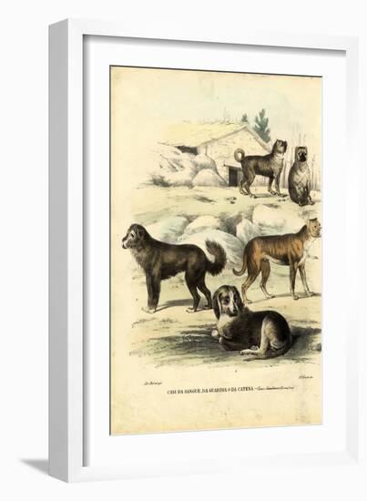 Dogs, 1863-79-Raimundo Petraroja-Framed Giclee Print