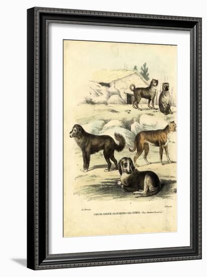 Dogs, 1863-79-Raimundo Petraroja-Framed Giclee Print