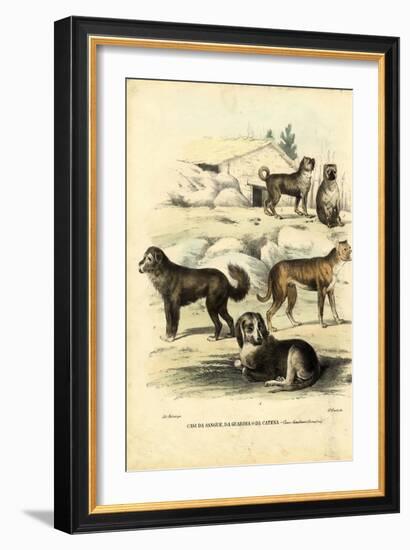 Dogs, 1863-79-Raimundo Petraroja-Framed Giclee Print