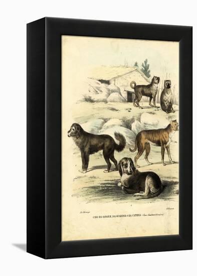 Dogs, 1863-79-Raimundo Petraroja-Framed Premier Image Canvas