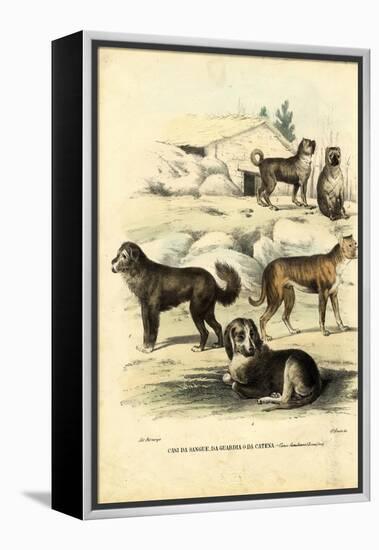 Dogs, 1863-79-Raimundo Petraroja-Framed Premier Image Canvas