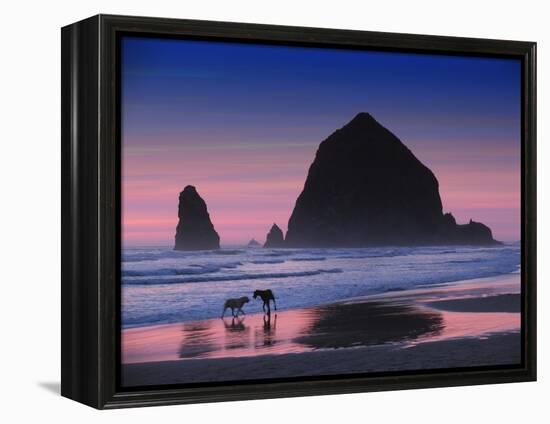 Dogs at Cannon Beach-Jody Miller-Framed Premier Image Canvas