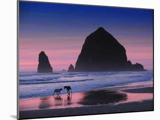 Dogs at Cannon Beach-Jody Miller-Mounted Photographic Print