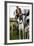 Dogs at Dog Show-Tim Kahane-Framed Photographic Print