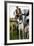 Dogs at Dog Show-Tim Kahane-Framed Photographic Print