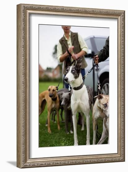 Dogs at Dog Show-Tim Kahane-Framed Photographic Print