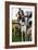 Dogs at Dog Show-Tim Kahane-Framed Photographic Print