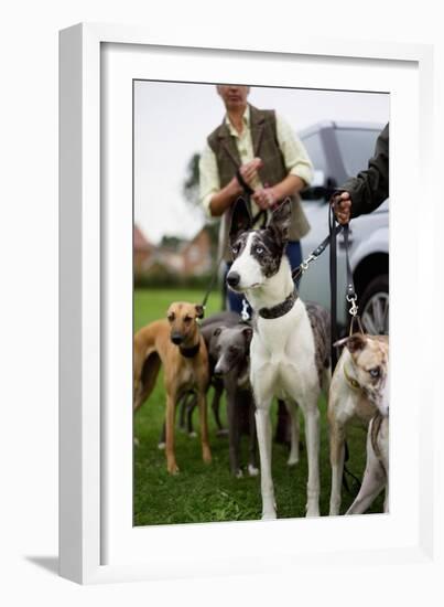 Dogs at Dog Show-Tim Kahane-Framed Photographic Print