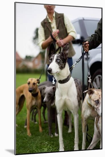 Dogs at Dog Show-Tim Kahane-Mounted Photographic Print