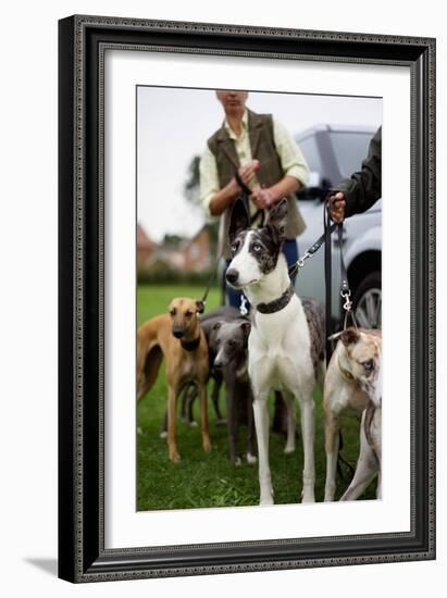 Dogs at Dog Show-Tim Kahane-Framed Photographic Print