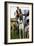 Dogs at Dog Show-Tim Kahane-Framed Photographic Print