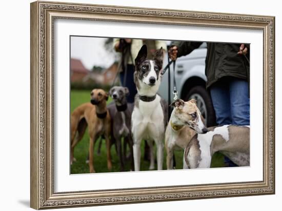 Dogs at Dog Show-Tim Kahane-Framed Photographic Print