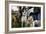 Dogs at Dog Show-Tim Kahane-Framed Photographic Print