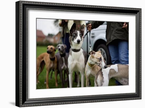 Dogs at Dog Show-Tim Kahane-Framed Photographic Print