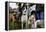 Dogs at Dog Show-Tim Kahane-Framed Premier Image Canvas