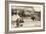 Dogs at the Base of the Statue in Place De La République, Paris, 1905-null-Framed Giclee Print