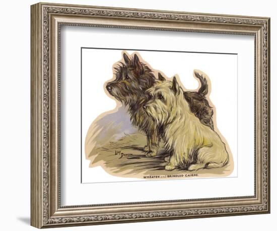 Dogs, Cairns, Dawson-Lucy Dawson-Framed Photographic Print