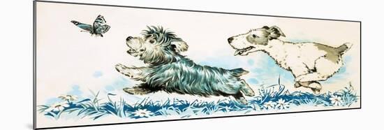 Dogs Chasing a Butterlfly-null-Mounted Giclee Print