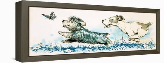 Dogs Chasing a Butterlfly-null-Framed Premier Image Canvas