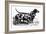 Dogs: Dachshunds-null-Framed Giclee Print