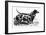 Dogs: Dachshunds-null-Framed Giclee Print