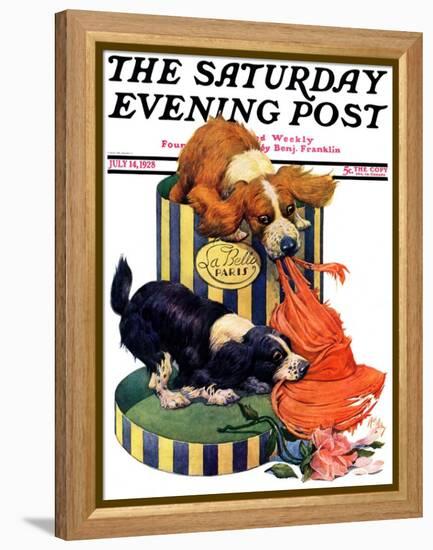 "Dogs Eating Hat," Saturday Evening Post Cover, July 14, 1928-Robert L. Dickey-Framed Premier Image Canvas