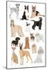 Dogs in Glasses Print-Hanna Melin-Mounted Giclee Print