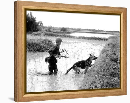 Dogs in Vietnam-Associated Press-Framed Premier Image Canvas