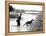 Dogs in Vietnam-Associated Press-Framed Premier Image Canvas