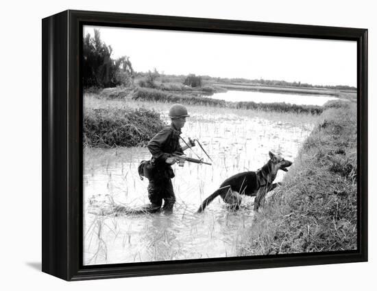 Dogs in Vietnam-Associated Press-Framed Premier Image Canvas