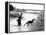 Dogs in Vietnam-Associated Press-Framed Premier Image Canvas