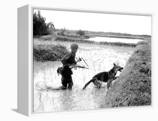 Dogs in Vietnam-Associated Press-Framed Premier Image Canvas