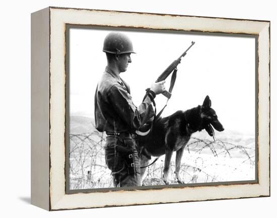 Dogs in Vietnam-Associated Press-Framed Premier Image Canvas