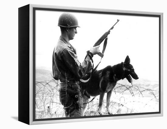 Dogs in Vietnam-Associated Press-Framed Premier Image Canvas