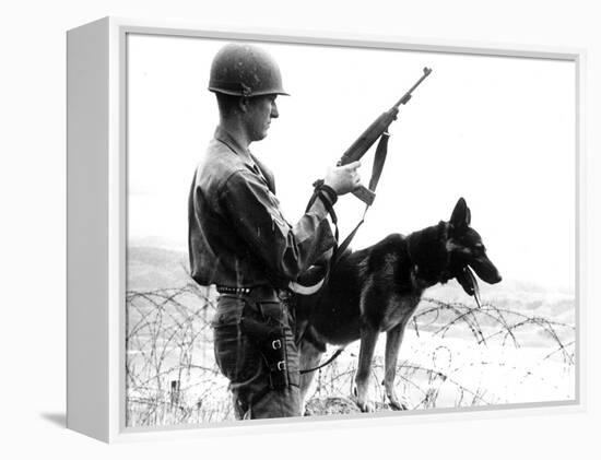 Dogs in Vietnam-Associated Press-Framed Premier Image Canvas
