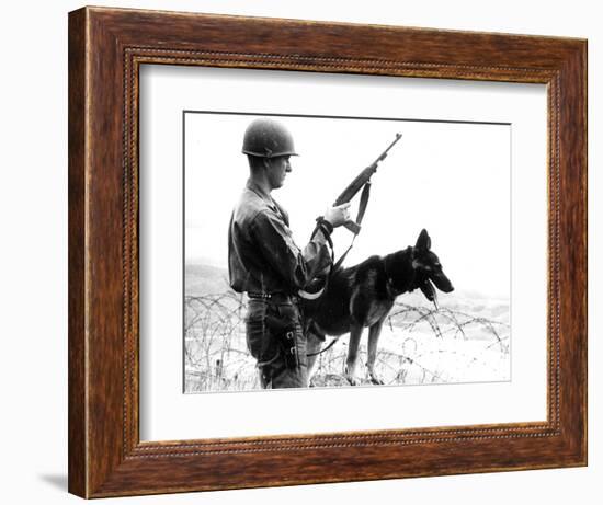 Dogs in Vietnam-Associated Press-Framed Photographic Print