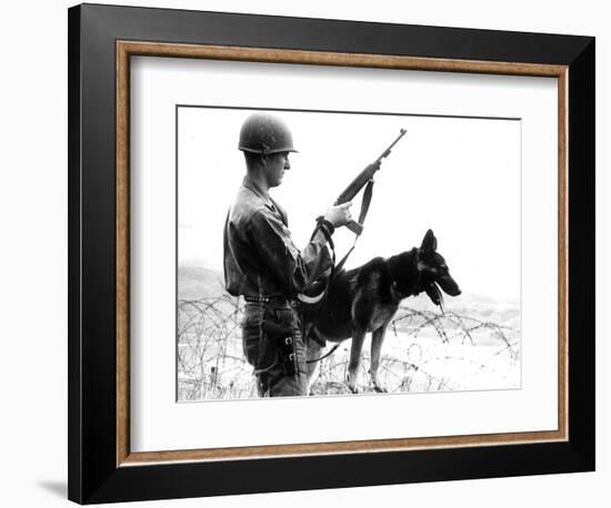 Dogs in Vietnam-Associated Press-Framed Photographic Print