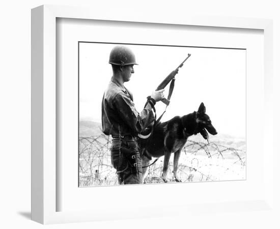 Dogs in Vietnam-Associated Press-Framed Photographic Print