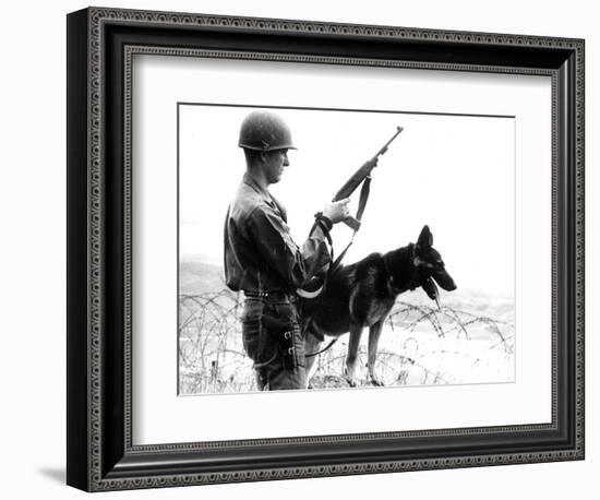 Dogs in Vietnam-Associated Press-Framed Photographic Print