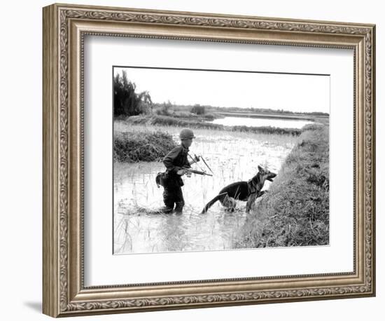 Dogs in Vietnam-Associated Press-Framed Photographic Print