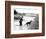 Dogs in Vietnam-Associated Press-Framed Photographic Print