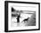 Dogs in Vietnam-Associated Press-Framed Photographic Print