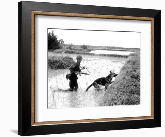 Dogs in Vietnam-Associated Press-Framed Photographic Print