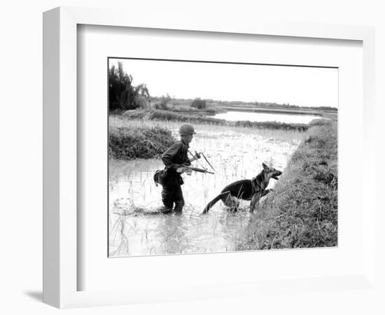 Dogs in Vietnam-Associated Press-Framed Photographic Print