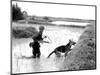 Dogs in Vietnam-Associated Press-Mounted Photographic Print