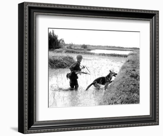 Dogs in Vietnam-Associated Press-Framed Photographic Print